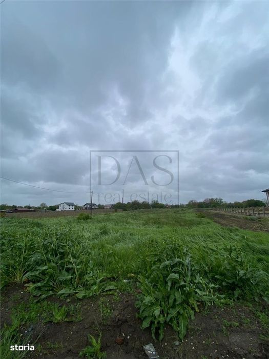 Teren intravilan | 3993 mp | Ciorogarla, Ilfov | Utilitati
