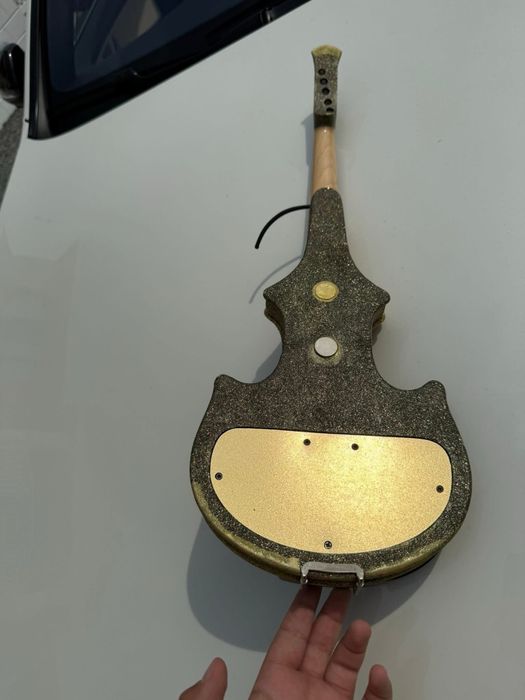 Zeta superba pentru tineret