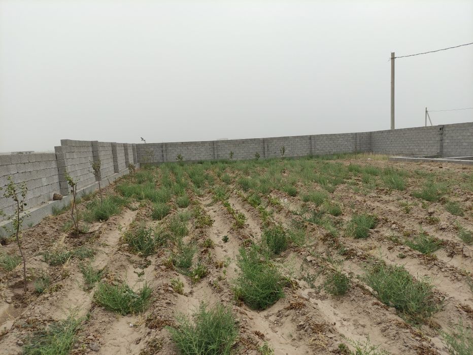 Ер сотилади.химияда