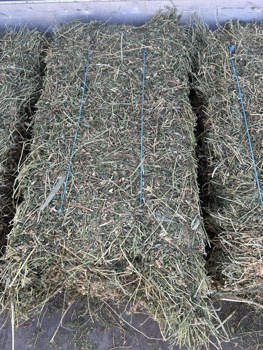 De vanzare baloti de fan si lucerna