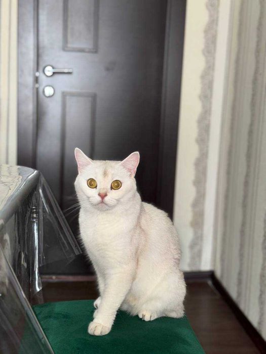 Yekaterina Vasilyevaning porno suratlari