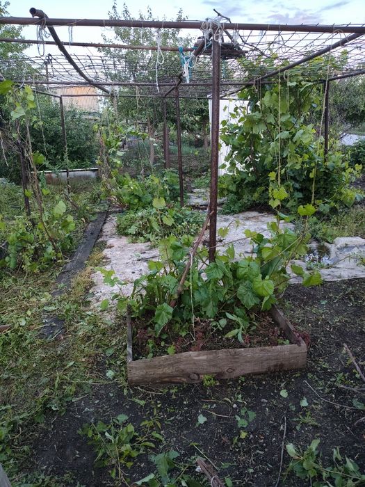 Продам дачу в" Чапаева"