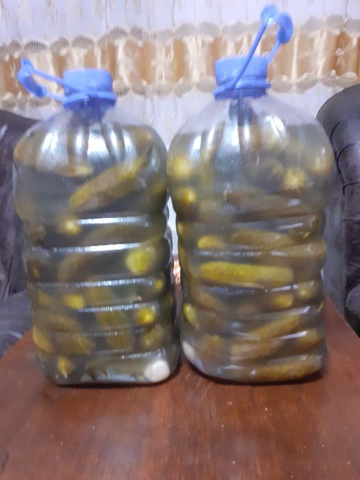 Продам огурцы  простого посола