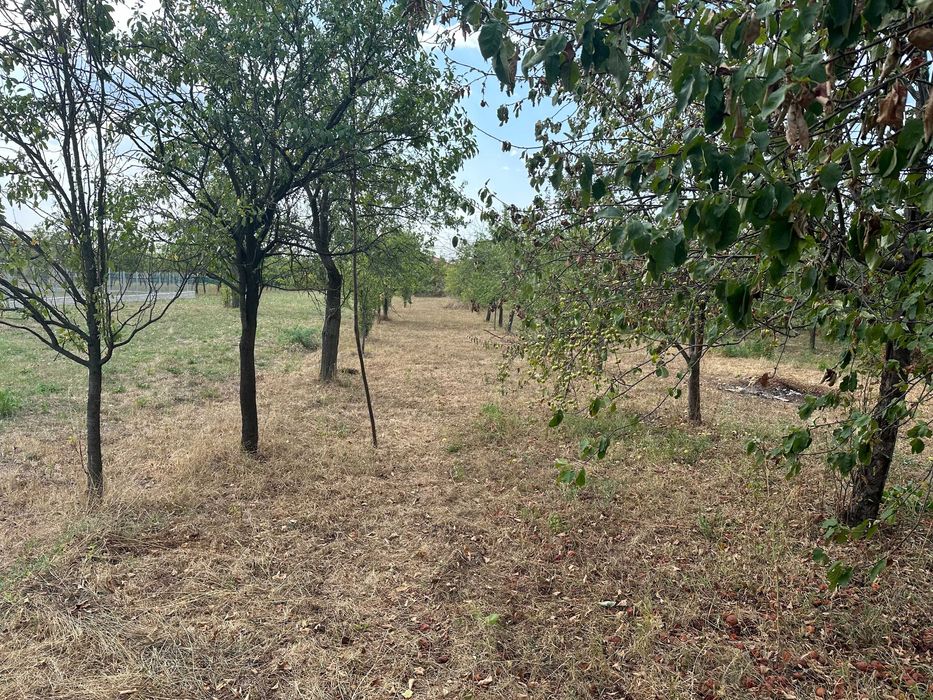 Casa +anexa+teren 23 ari .