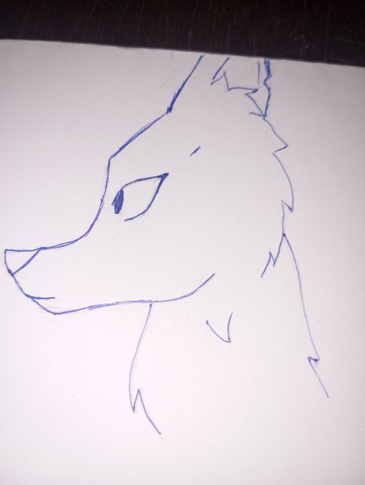 рисуем вас или ваших питомцев