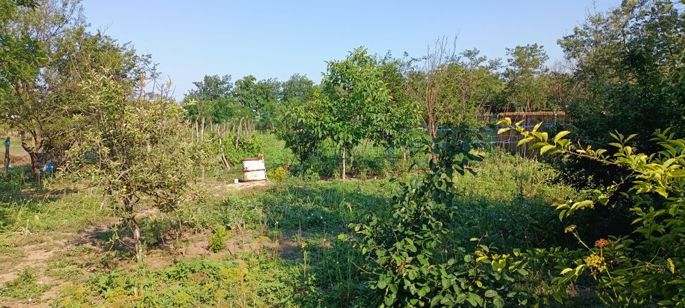 Schimb casa cu garsoniera