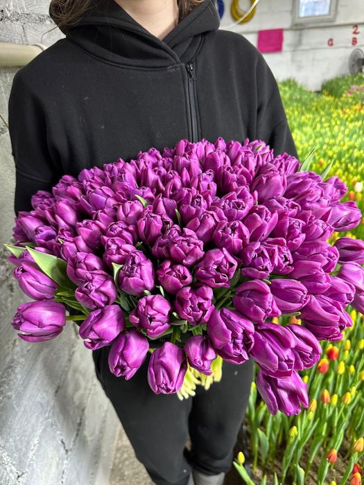 Розы тюльпаны .,