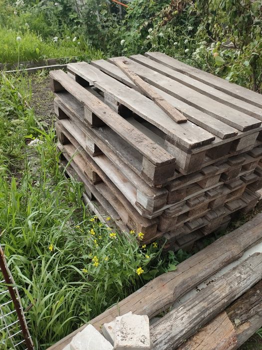 Продам евро поддоны