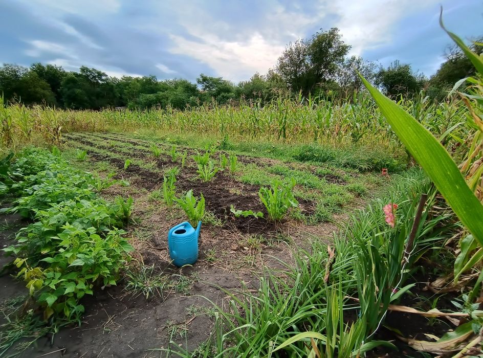 Casa de vânzare  cu teren generos
