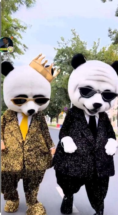 Ayiqlar va ofarmleniya xizmatingizdamiz