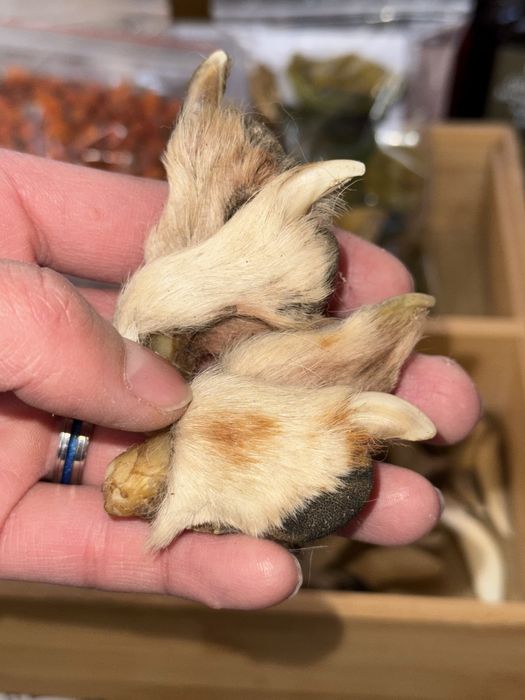 Джил мен Мелисса сексуалды лесбиянкалық әрекетті тегін секстен ләззат алады