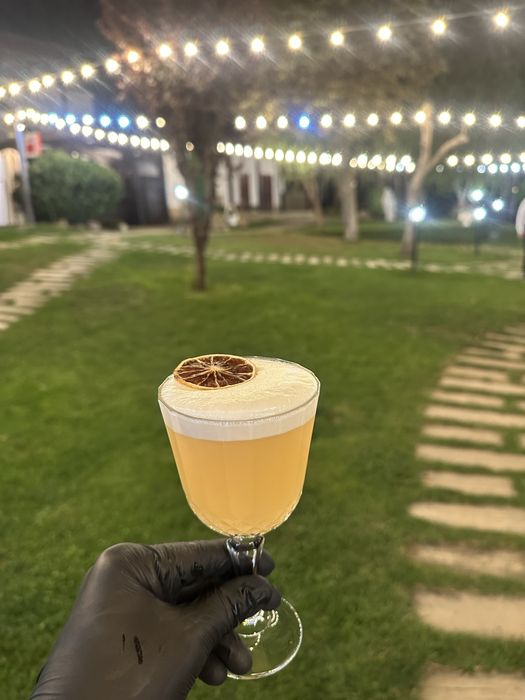 Cocktail Bar/ Cigar Bar/ Fum Greu