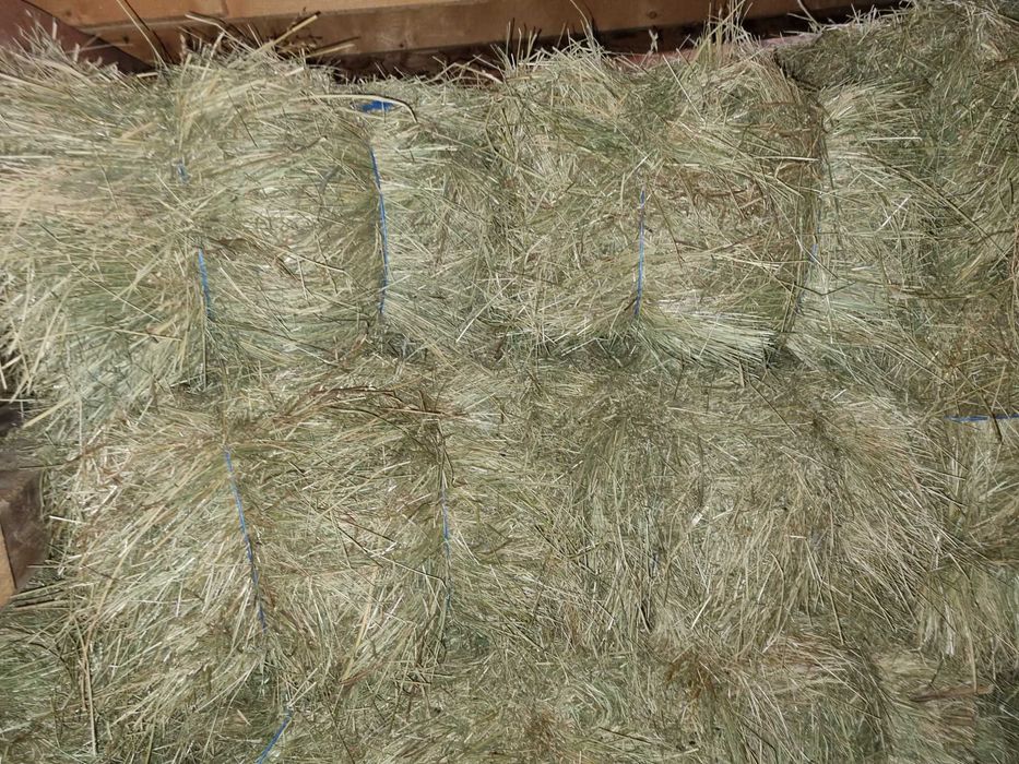 Продава малки бали сено