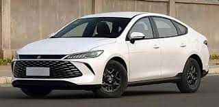 BYD Qin 5p pod zakaz