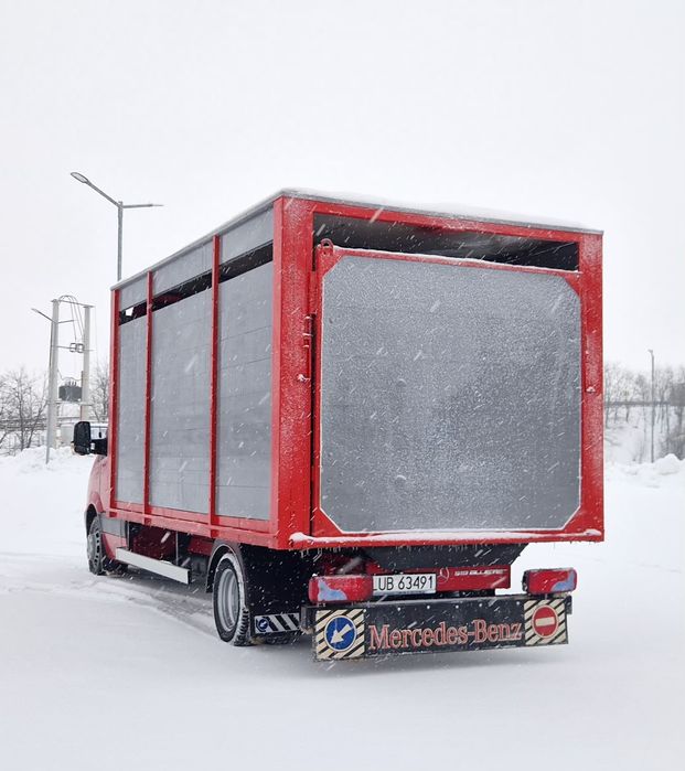Mercedes sprinter 519 transport animale 518 516 iveco daily 35c17 35c1