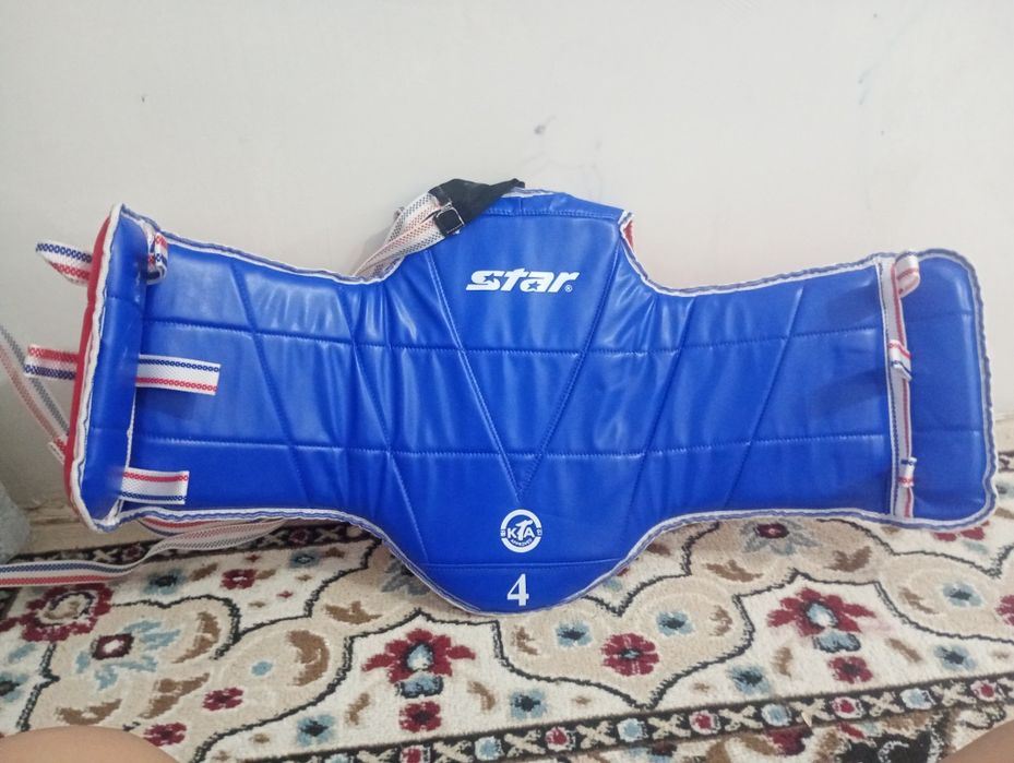 Защитка тэквандо