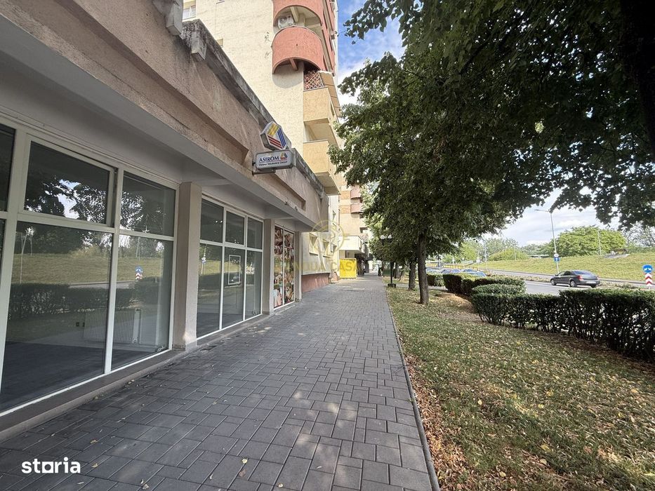 Spatii de Birouri/Comerciale de Inchiriat Bulevardul Transilvania