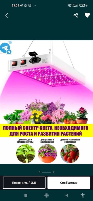 Фитолампа иссикхона ун махсус