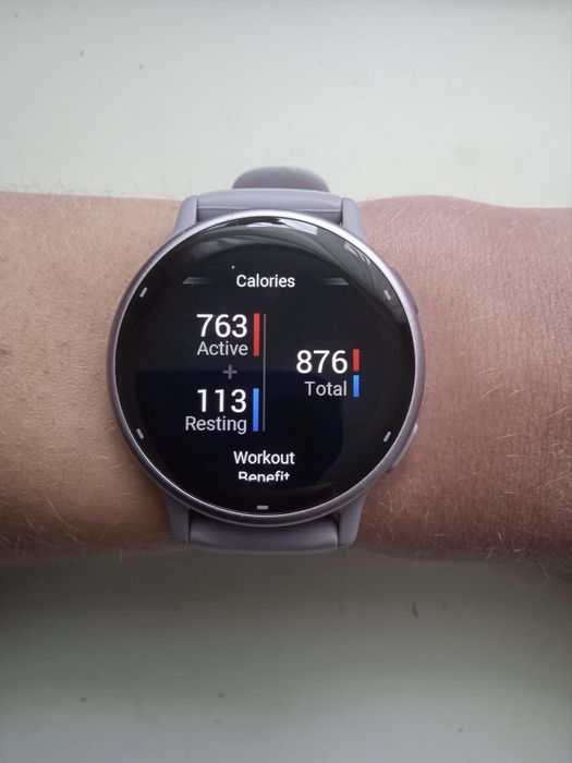 Garmin Vivoactive 5 Purple 42mm
