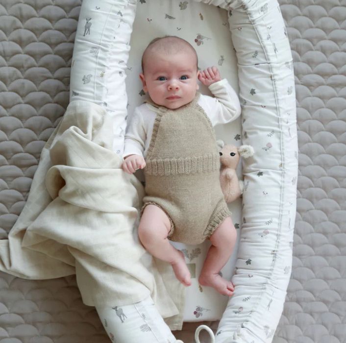 Baby nest Cam Cam Mottom