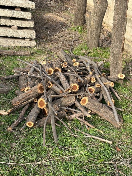 Дрова рубленные карагач готовые