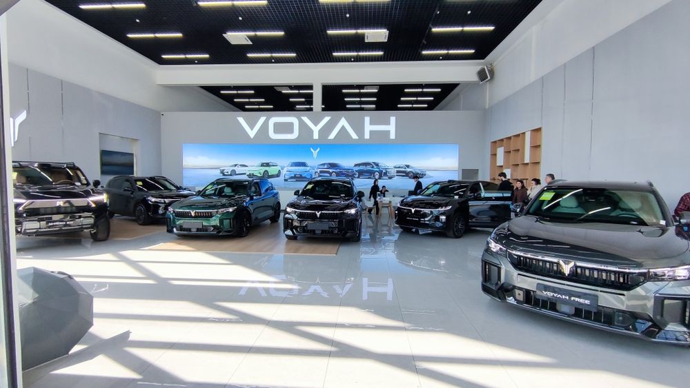 Voyah free 318 Apollo tech hibrid Qora Mokriy Oq