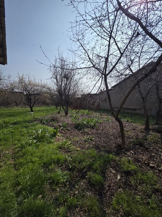 Кибрай тумани Қипчоқ маҳалласида 7 сотихли ер участкаси сотилади.