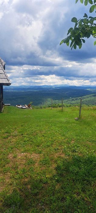 Teren Premium Intravilan Șuncuiuș (Pojorâta) - Ideal Glamping / Cabane. Panoramic, Pădure, Utilități