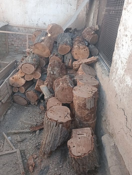 Кунда ва утинлар сотилади