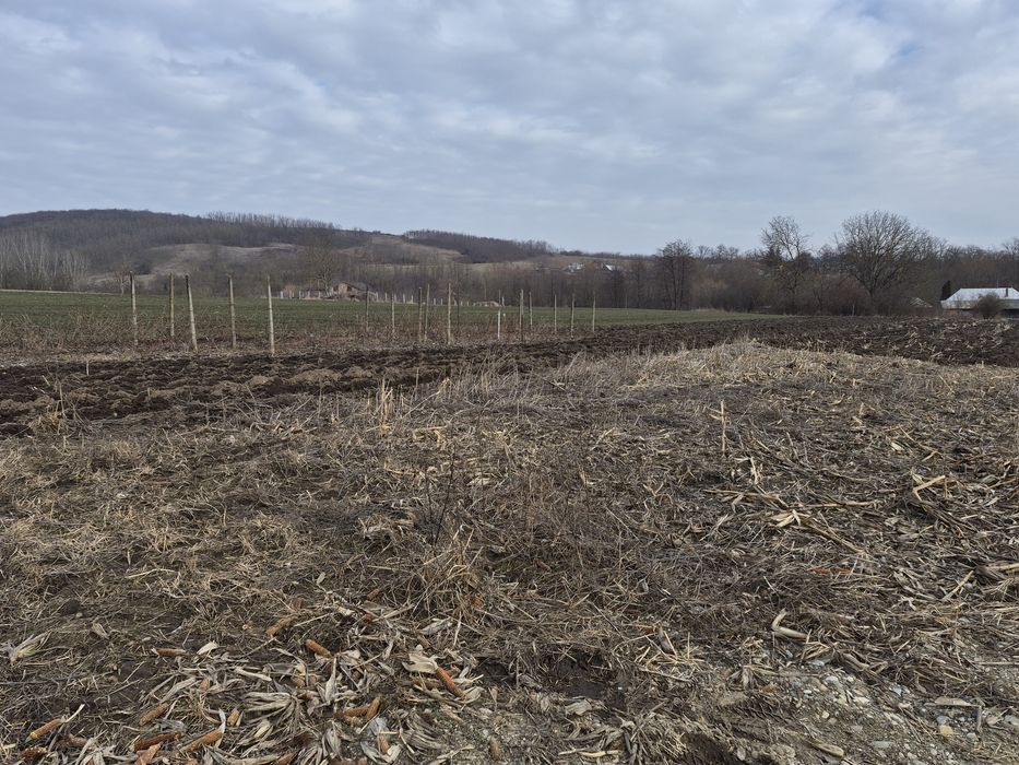 5900m2 teren+ curent