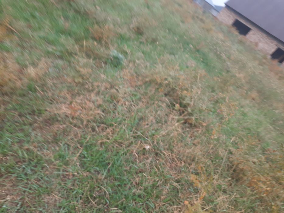 земельный участок