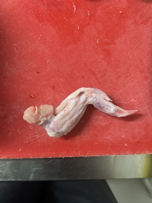 Корм для сабак кошек