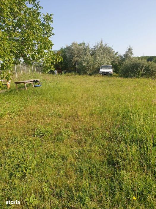 Teren intravilan IASI - COPOU - VITICULTORI -  in vecinatatea padurii