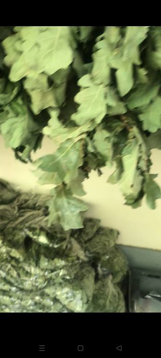 Веники Дубовые, Берёзовые и Липовый