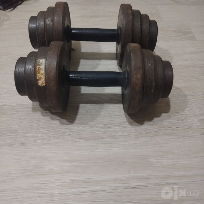Гантел 12,5 кг 2х