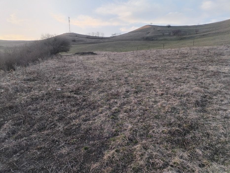 Vând sau Schimb Teren Extravilan