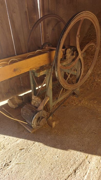 Șișcorniță de vânzare