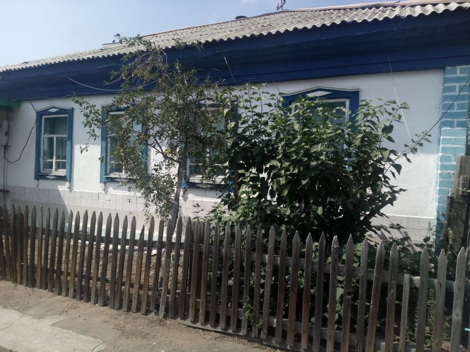 Частный дом в деревне