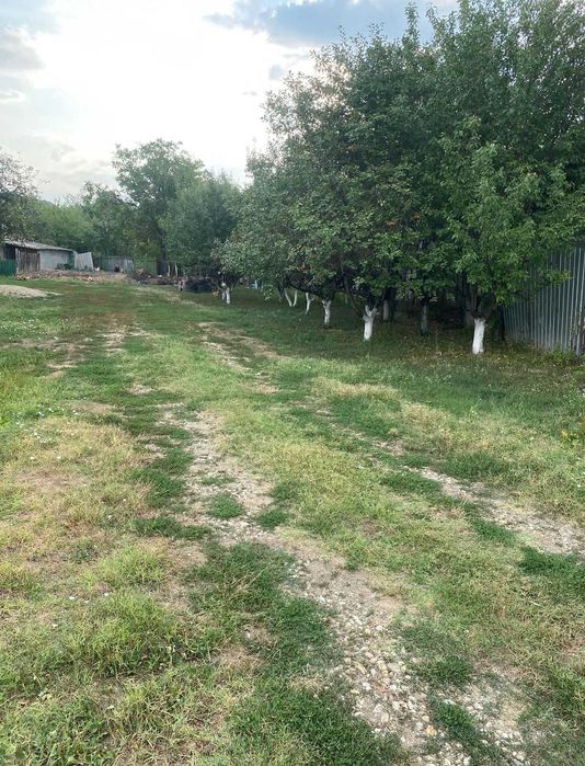 Teren Gorgota-Potigrafu