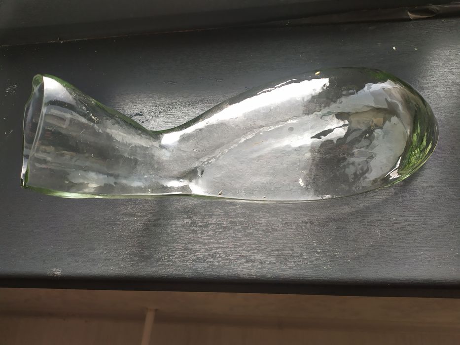 Утка медицинская