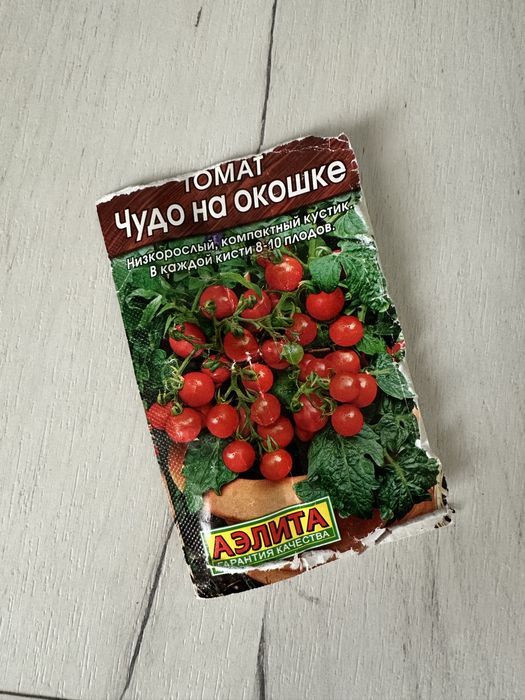 Рассада помидор на балкон