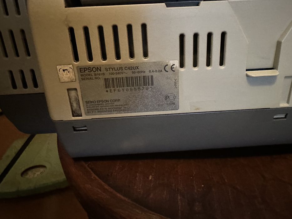 Epson Stylus cvetnoy printer