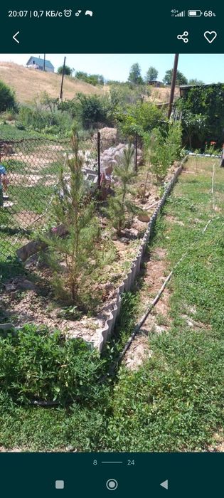 Срочно продам дом - дача