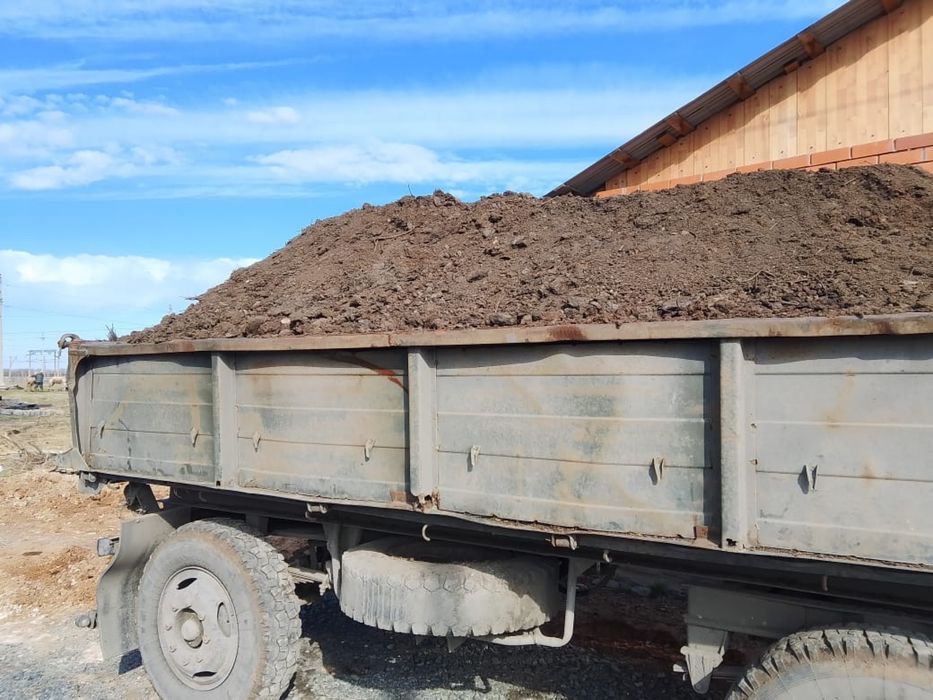 Перегной Көң ㅤㅤㅤㅤㅤㅤㅤㅤㅤㅤㅤㅤ