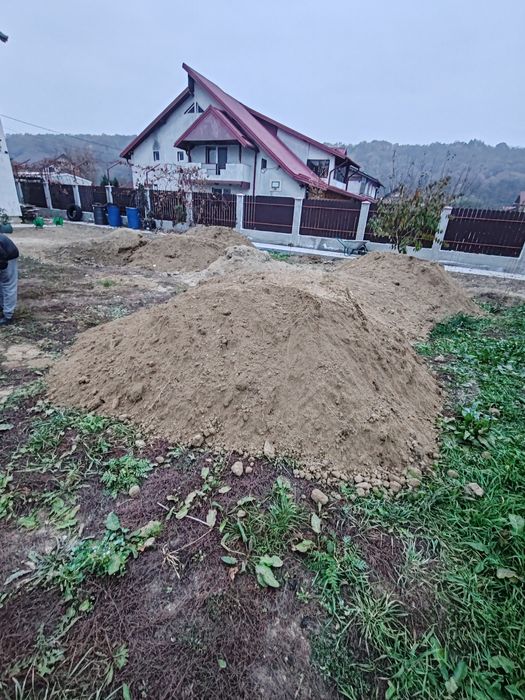Balegar oaie de 3 ani chisai vegetal pentru gradina gazon curat