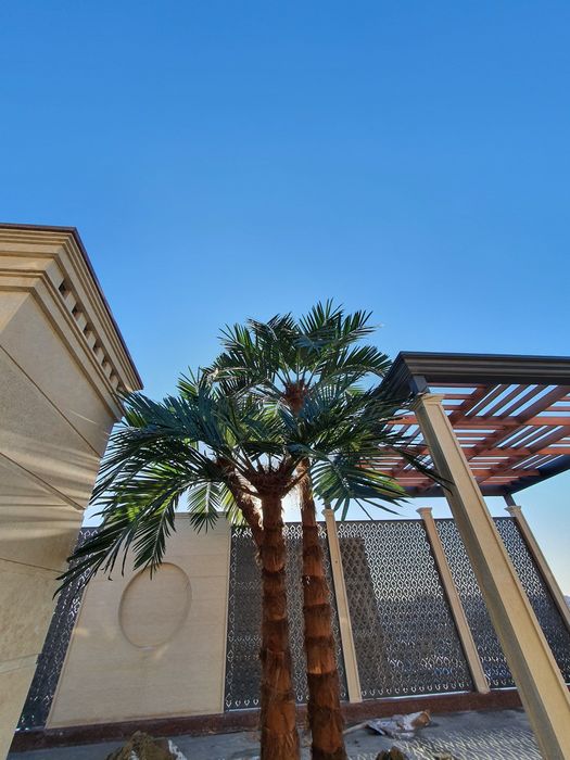 Sun'iy eko palmalar | bepul dizayn loyihasi | 30% chegirma