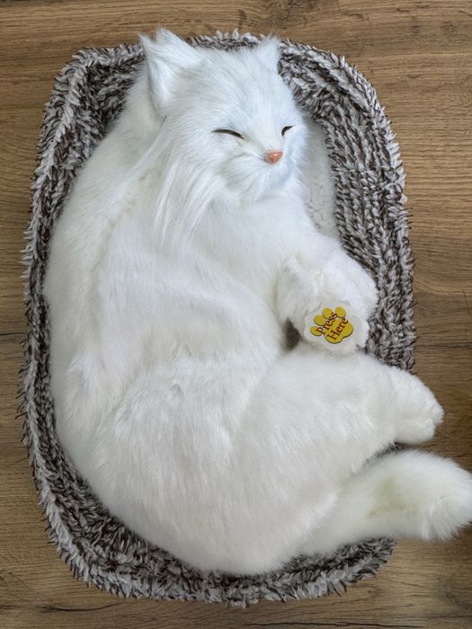 Котики для автомобиля
