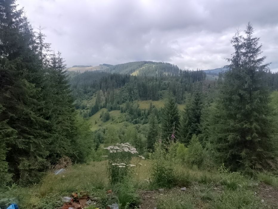 Proprietar vand pământ  extravilan.