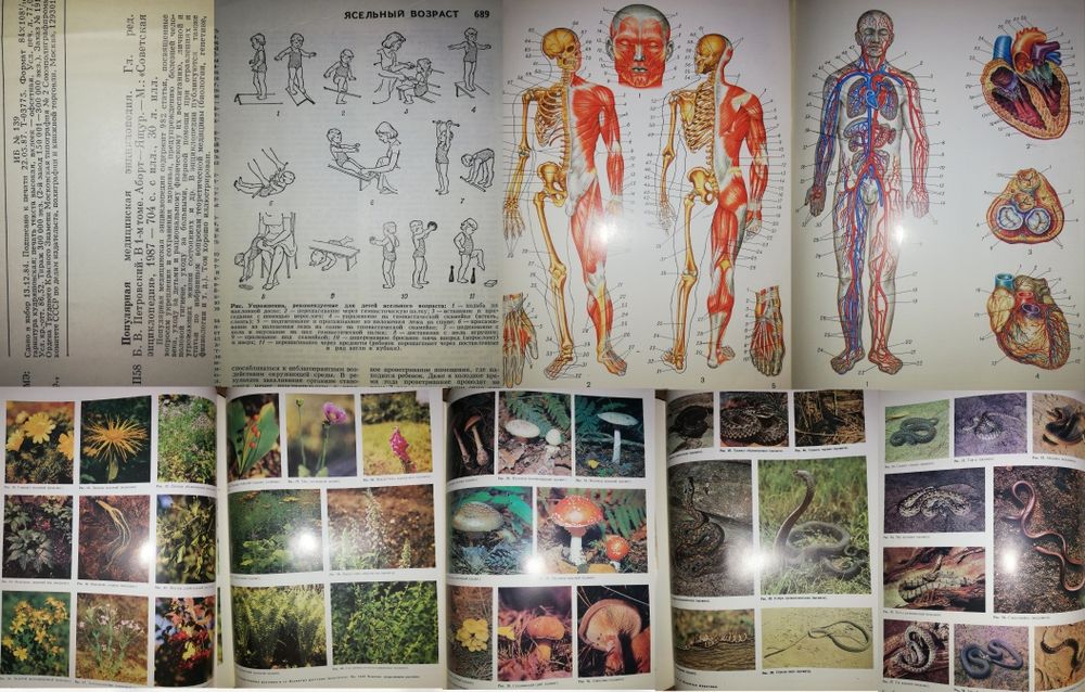 Медицинская литература