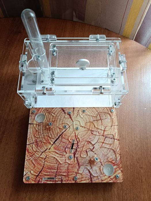 Ферма для муравьев (формикарий)